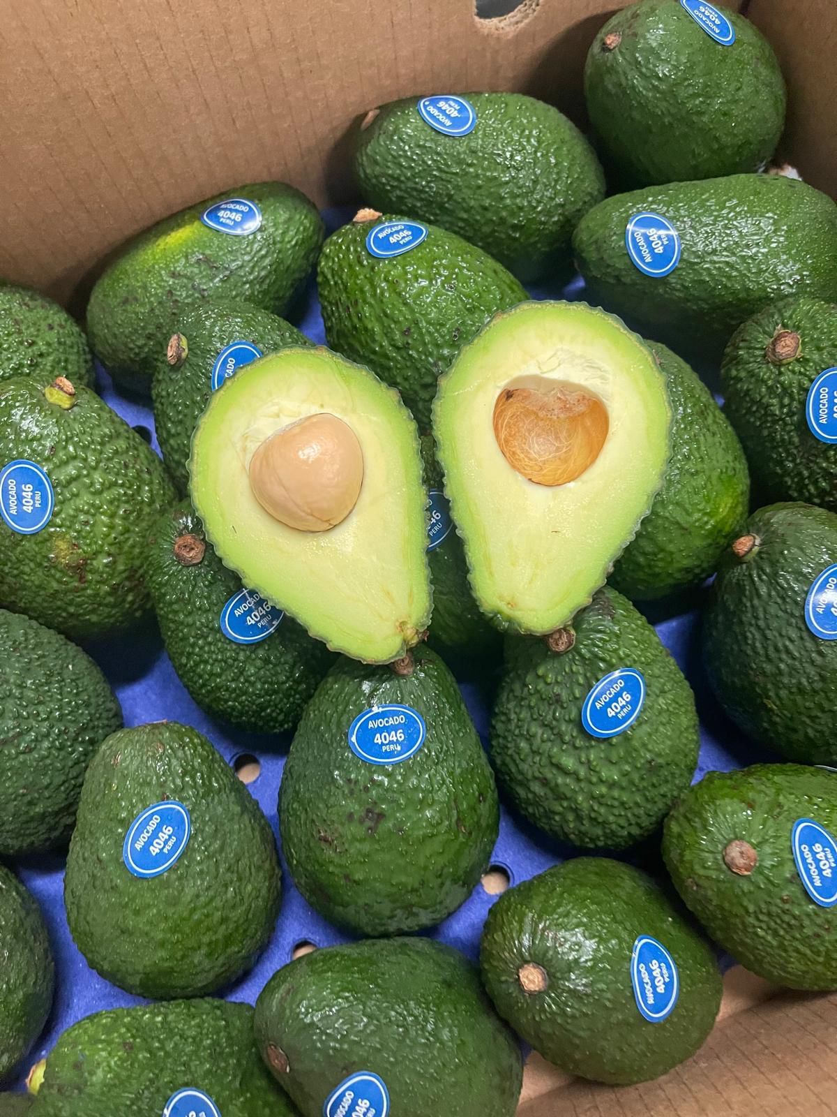 Peru Hass avocados in wholesale case — La Queen Produce avocado supplier
